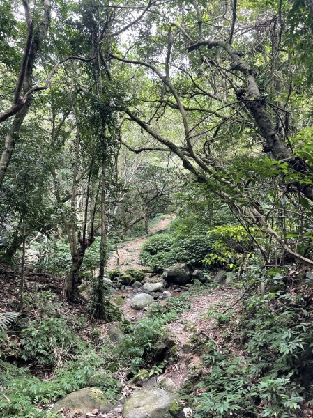石笋古道O型2553828