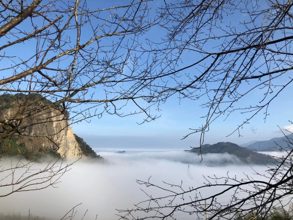 馬那邦山登山步道 NO 37 / 苗栗縣大湖鄉--我的第13座小百岳1598268