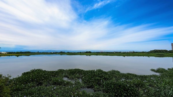 三奇美徑,52甲濕地,傳藝中心2518195