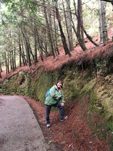 沒上雪山主峰在七卡山莊撤退改走桃山瀑布973223