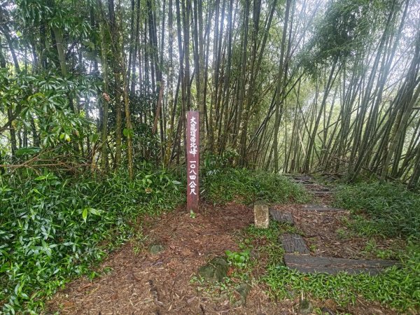 雲嘉十八連峰2589564