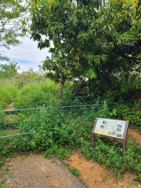挑水古道+十八觀音步道+大峰巷步道+碧山古道O繞2766179