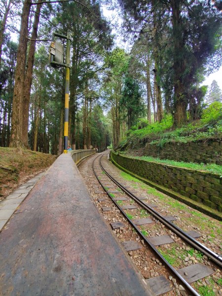 阿里山大塔山899529