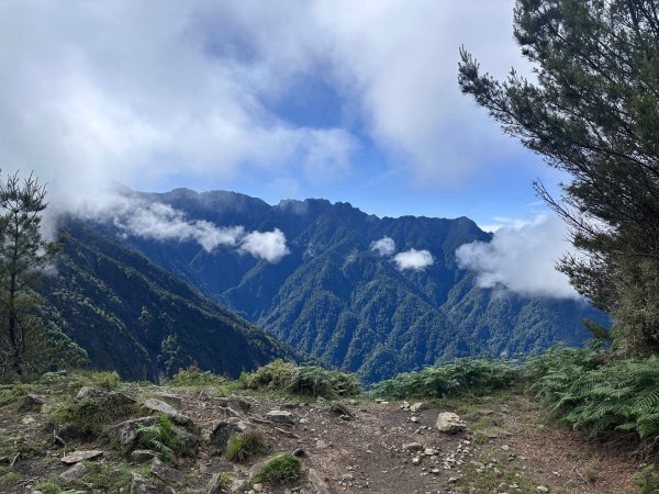鹿林前山、鹿林山、麟趾山O繞縱走2799640
