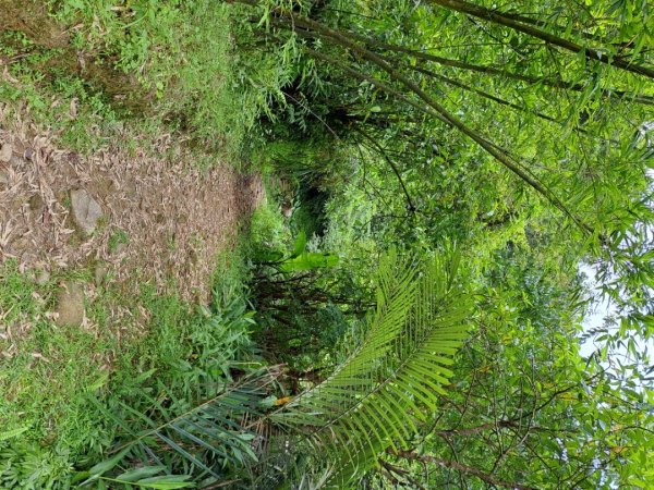 淡蘭中路第四段：威惠廟到灣潭古道登山口3104479