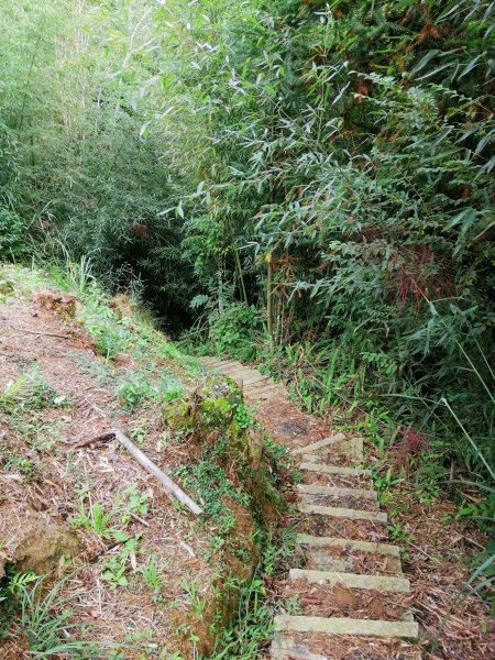 【雲林草嶺線】草嶺風景區~石壁遊龍湖步道1171888