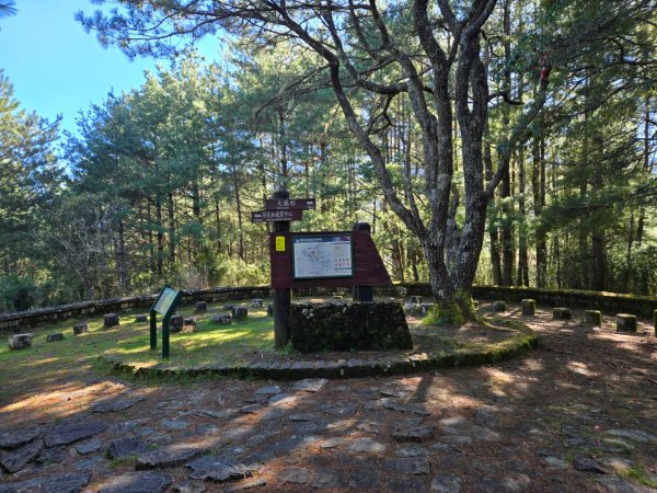 麟趾山、鹿林山、鹿林前山三山縱走2630020