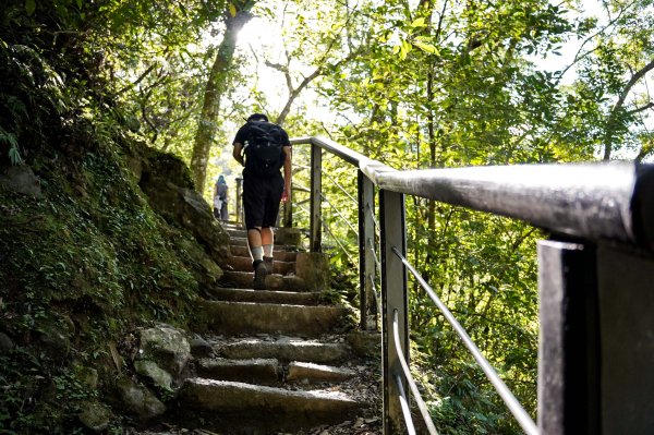滿月圓森林步道2870093