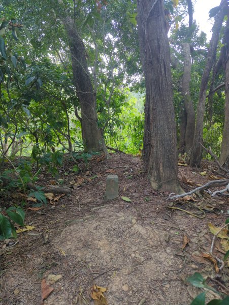 2026.02.08－十八尖山2999390