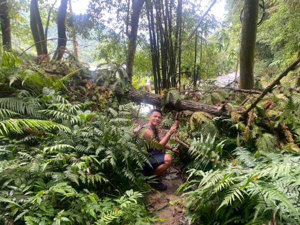 新竹橫山.大崎棟古道.騎龍古道【二個古道走向二個截然不同的方向】2868734