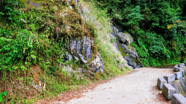 油羅山(一上三下)2959207