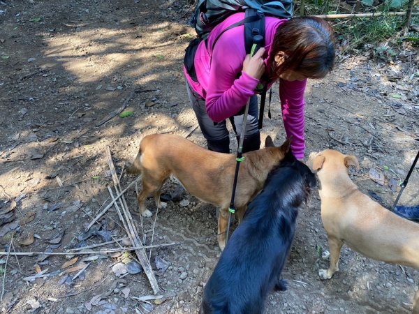 苗栗金童山、玉女山、汶水山2672895
