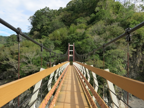 原鄉之旅~司馬庫斯賞楓行76352