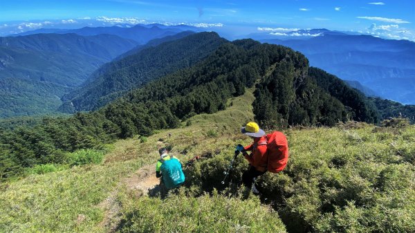 穿梭叢林桃山瞻仰巨木的殿堂桃山神木之行1656657