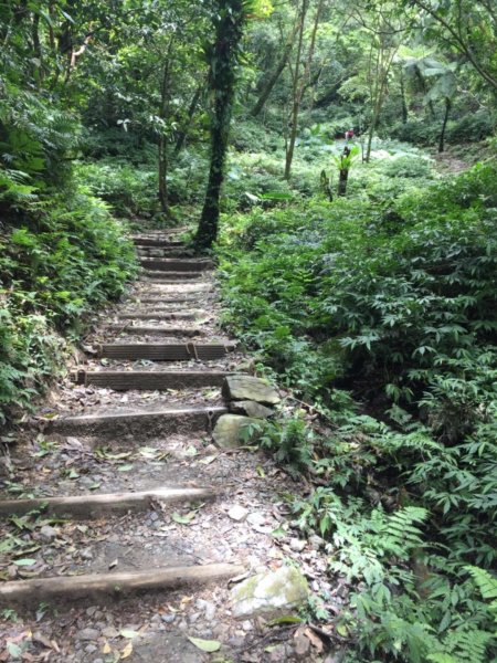 抹茶山&三角崙山566973