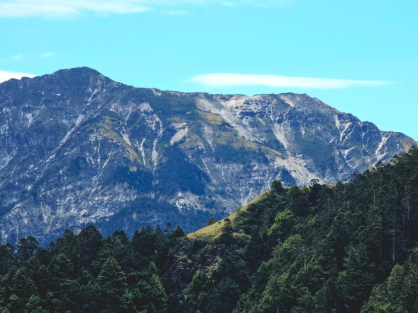 小奇萊步道-(南投)臺灣百大必訪步道2795665