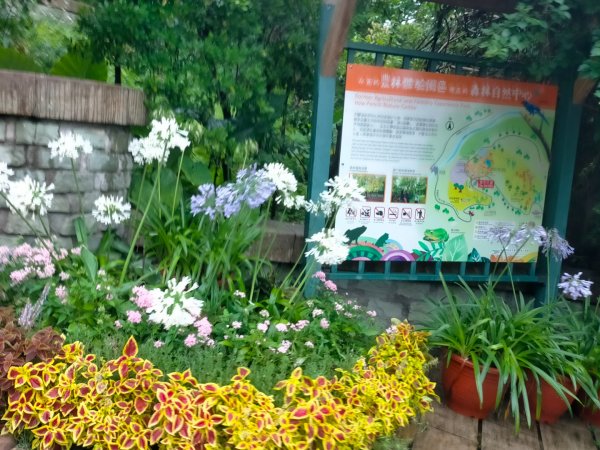 內雙溪自然中心步道(台北小溪頭2812118