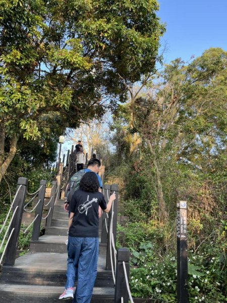 大坑9-1號步道2732243