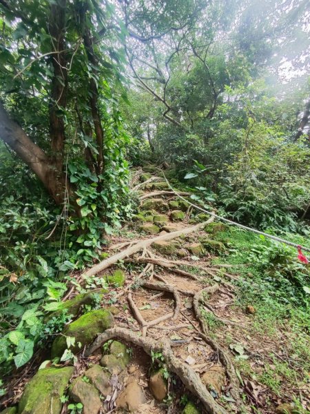 微笑山線大棟山系2838327