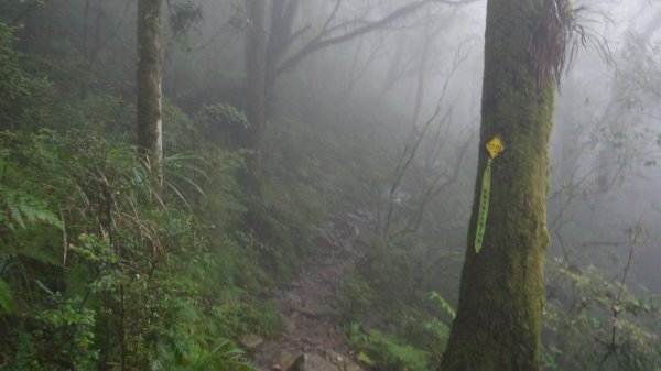 松蘿湖單攻登山健行趣（步道）1522351