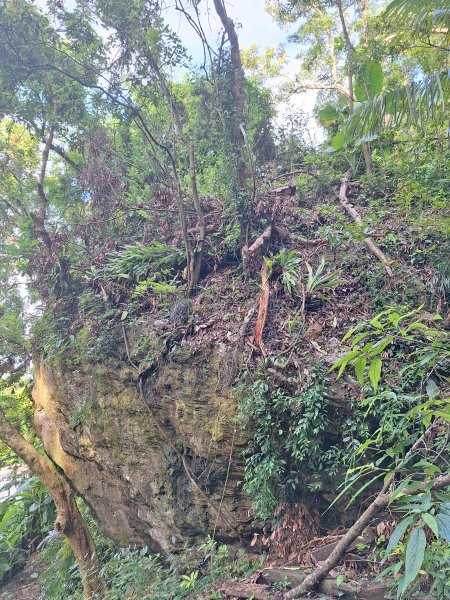 碧雲寺枕頭山O型202410062615766