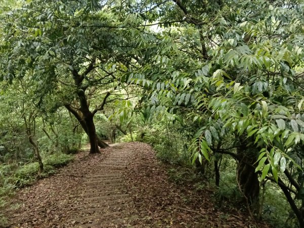 平溪區三功大厝+番子坑山+千階嶺步道O型2781197