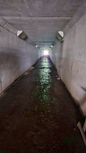 20260127流水蓮華-飛沙縱走-坑尾山南稜2992550