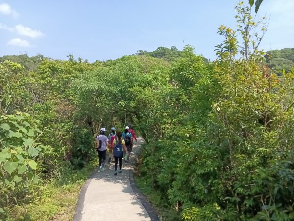 基隆市情人湖步道+老鷹岩+大武崙砲台+大武崙山O型2783545