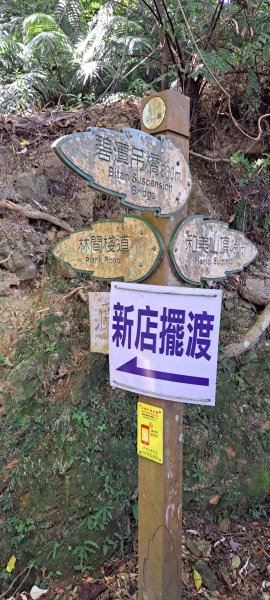 20260927 碧潭和美山3124773