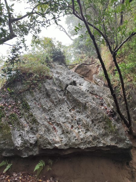 微笑山線：【二格山系】皇帝殿稜線段2955962