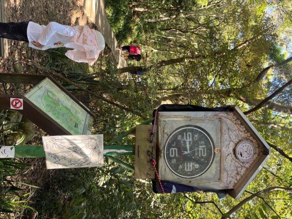 虎頭山健行10122911375