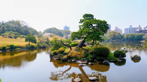 熊本水前寺成趣園,熊本城3028437