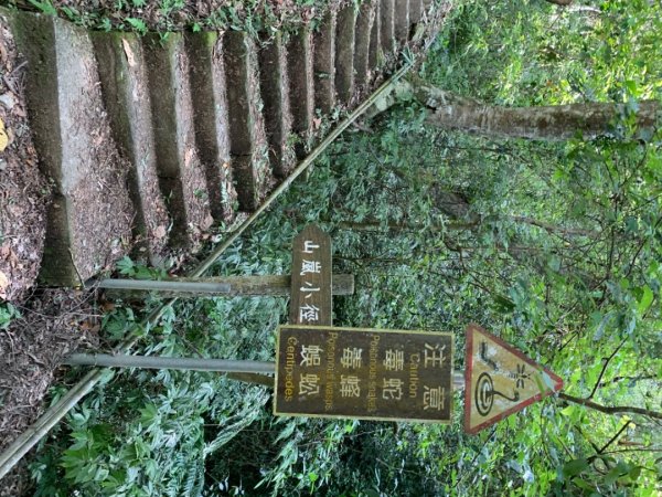 惠蓀林場渉水步道與山嵐小徑1043094