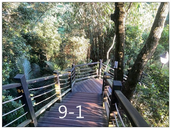 軍功寮山、大坑9、7、6、9-1步道 O型一圈2950838