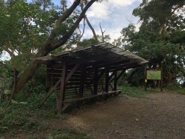 20251004高雄尾寮山-西北峰2907831