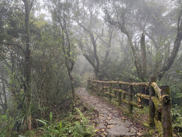 [微笑山線_第八段] 2026_0321 二格山系_二格山3020931