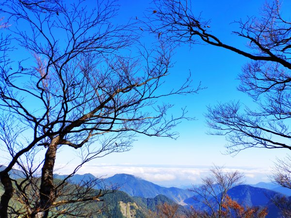 山毛櫸國家步道1135670