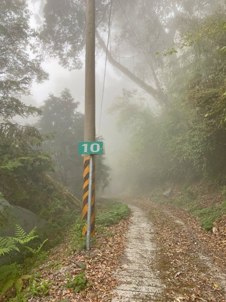 終於登上百志興保山順撿永安山    2021/4/191356948