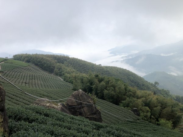 出水坑步道走四大天王山縱走、圓潭自然生態園區O型1699535