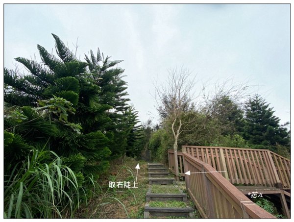 三媽縱走 ( 半天寮山、好望角、白沙屯山 連走 )2973280