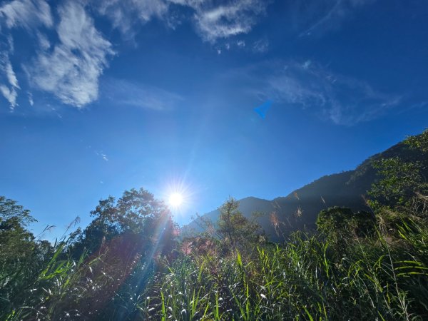 干卓萬山單座百岳驚見‘’萬大豹、水鹿大軍、圓月、雲海、藍天大景2632639