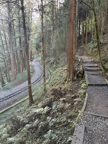 20251225塔山步道(大塔山)2970309