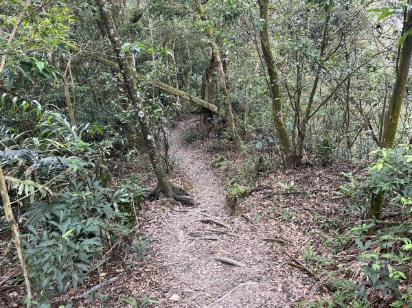 [屏步青雲 尋寶任務-02/10] 2024_0916 尾寮山登山步道2597392