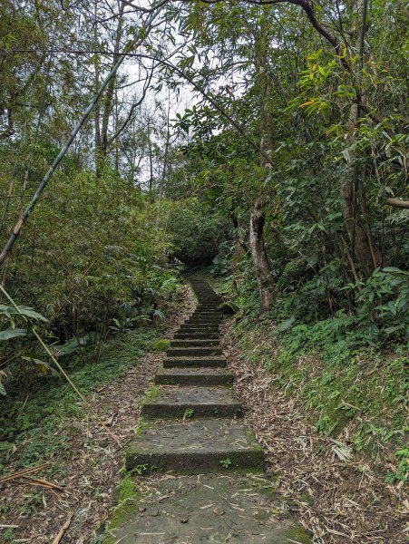 2023-02-11 槓子寮砲台、槓子寮山步道（龍崗步道）2792621