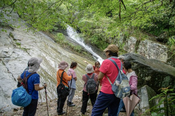 暖東峽谷/草嶺舊隧道2816498