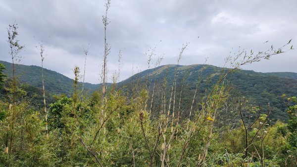 皇帝殿，獅公髻尾山，指南宮千階步道（竹柏參道），十六分山，貓空尖，絹絲瀑布步道2394550