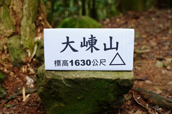 臺中 和平 大崠山、長壽山、醜崠山3028326