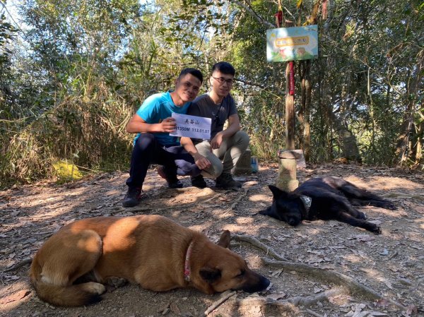 六龜美輪山【享受簡單純粹的登山樂趣】2415564