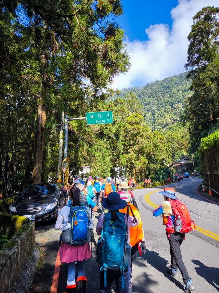 2025-09-14 奮起湖2887385