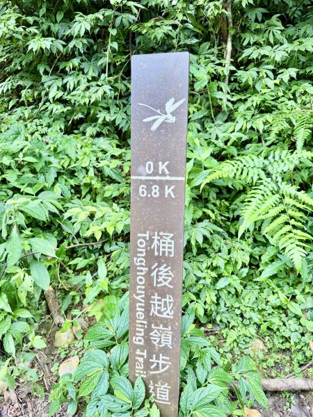 桶後越嶺道悠遊（烏來－礁溪）    2025.7.52827971